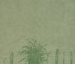 option-image