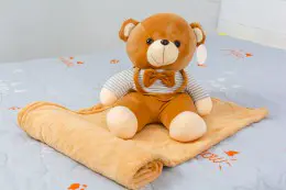 Плед MirSon детский 1051 Bear Brown + подушка