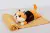 Плед MirSon детский 1072 Cat Orange + подушка, фото