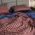 Комплект постельного белья Вилюта Египетский хлопок 08, фото 3