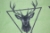 Пододеяльник 17-0515 Noble Deers Lime ranforce-elite MirSon, фото 1